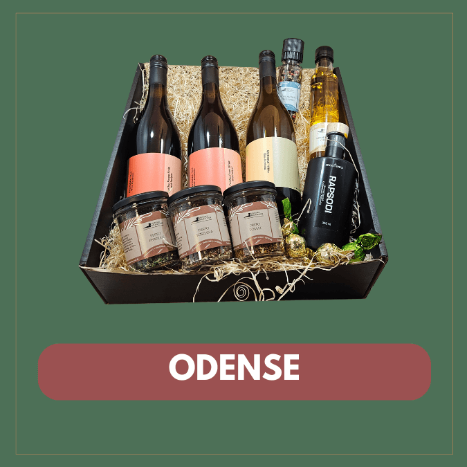 gavekurv odense billede